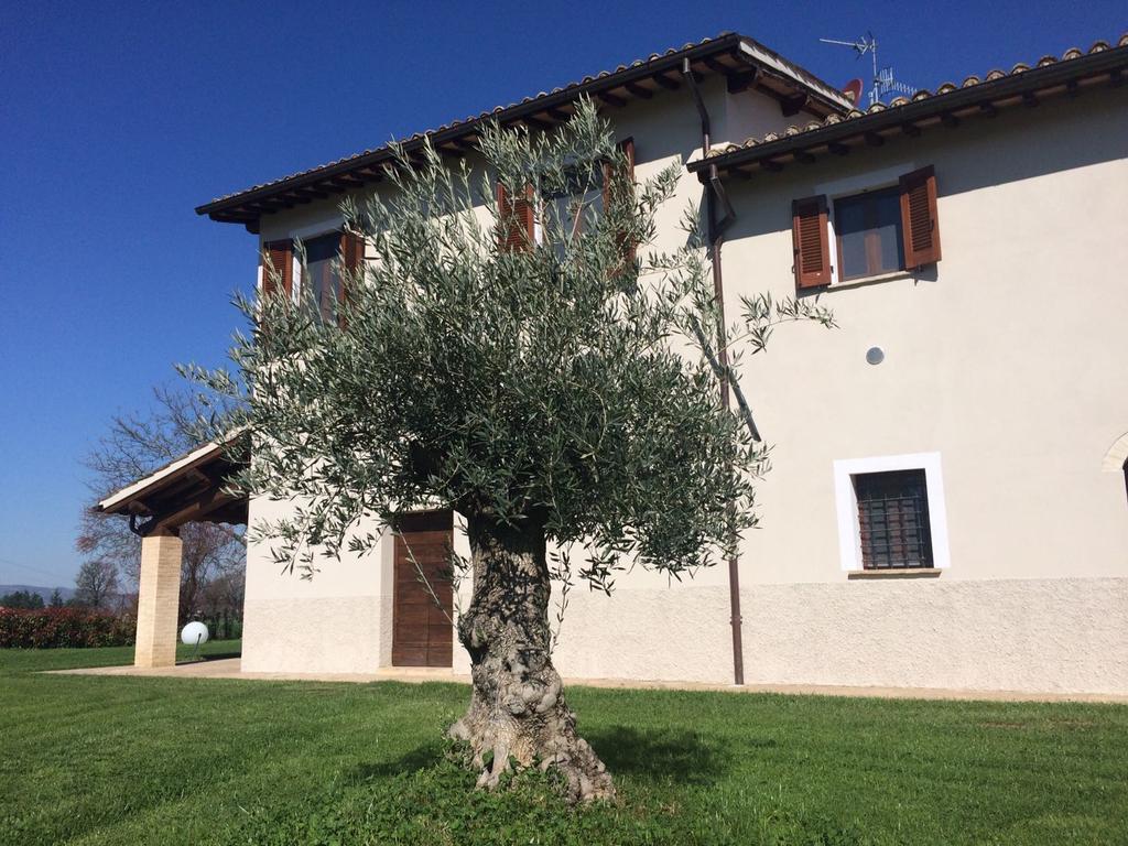 Podere Le Volte Degli Angeli Spello Extérieur photo