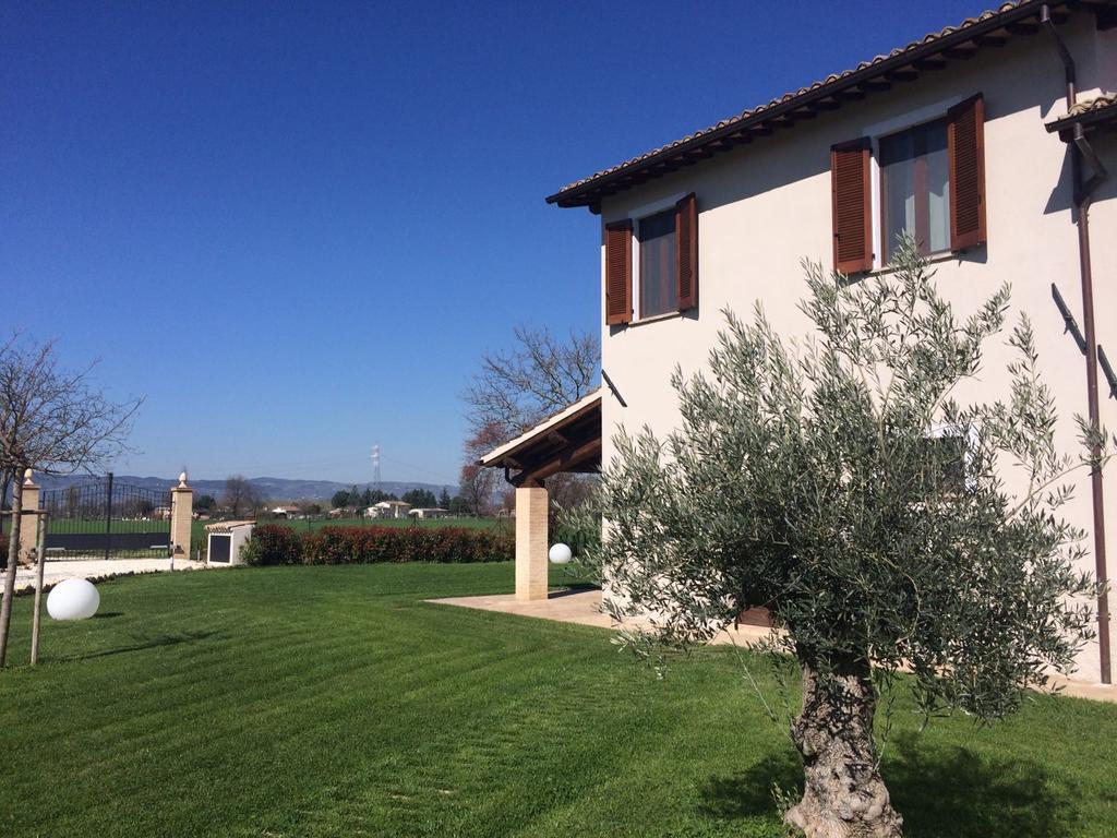 Podere Le Volte Degli Angeli Spello Extérieur photo