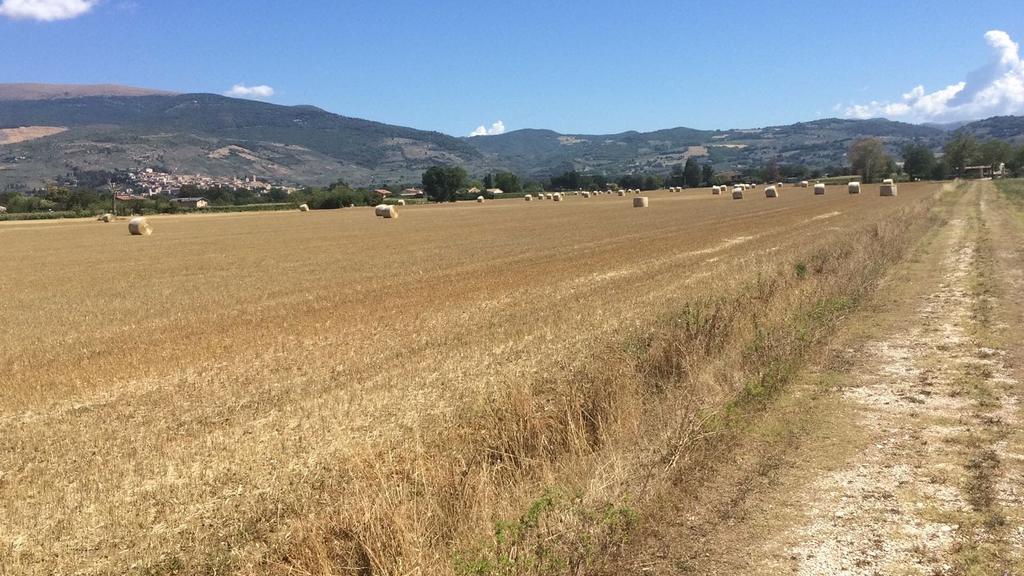 Podere Le Volte Degli Angeli Spello Extérieur photo