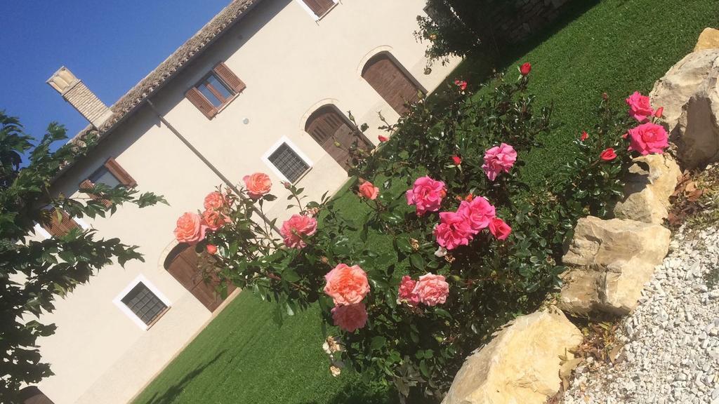 Podere Le Volte Degli Angeli Spello Extérieur photo